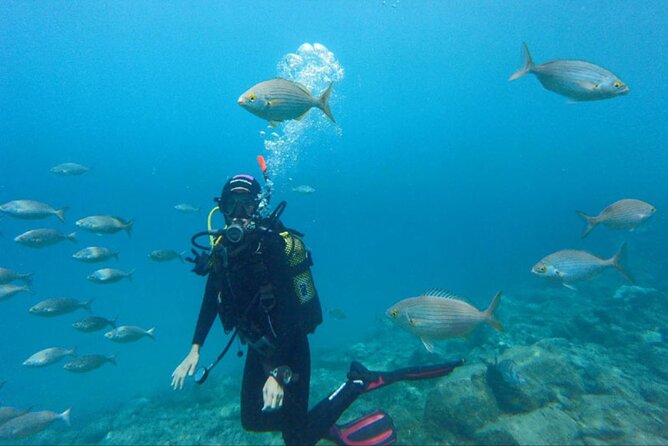 Dream to Dive full Course & private Dive Instructor PADI - Who will get the most from this course?