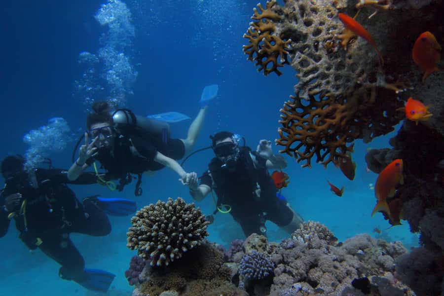 DSD Discover Scuba Diving for a beginner or Certified - Is $73 a fair price?