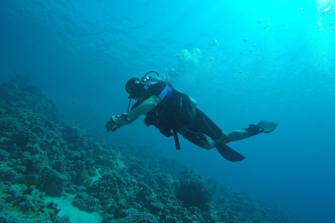 DSD "Discover Scuba Diving" (Min Age 10 Years) - Why the shallow-water lesson matters