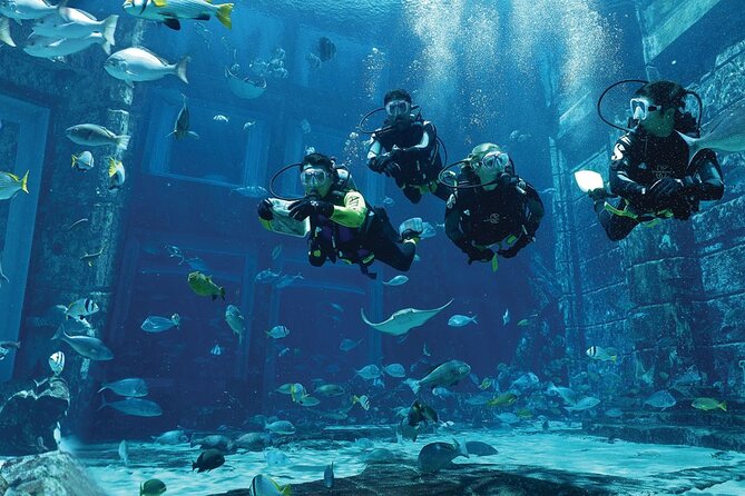 Dubai Lost Chambers Dive Explorer (Certification Required) - Arriving at The Lost Chambers Aquarium