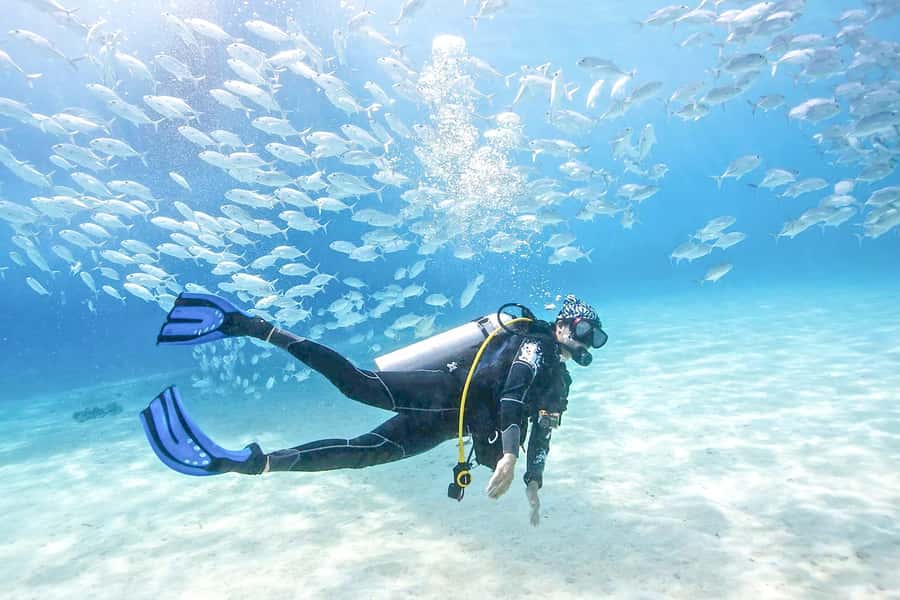 Dubai: PADI Basic Scuba Diving Course - Key points to know before booking