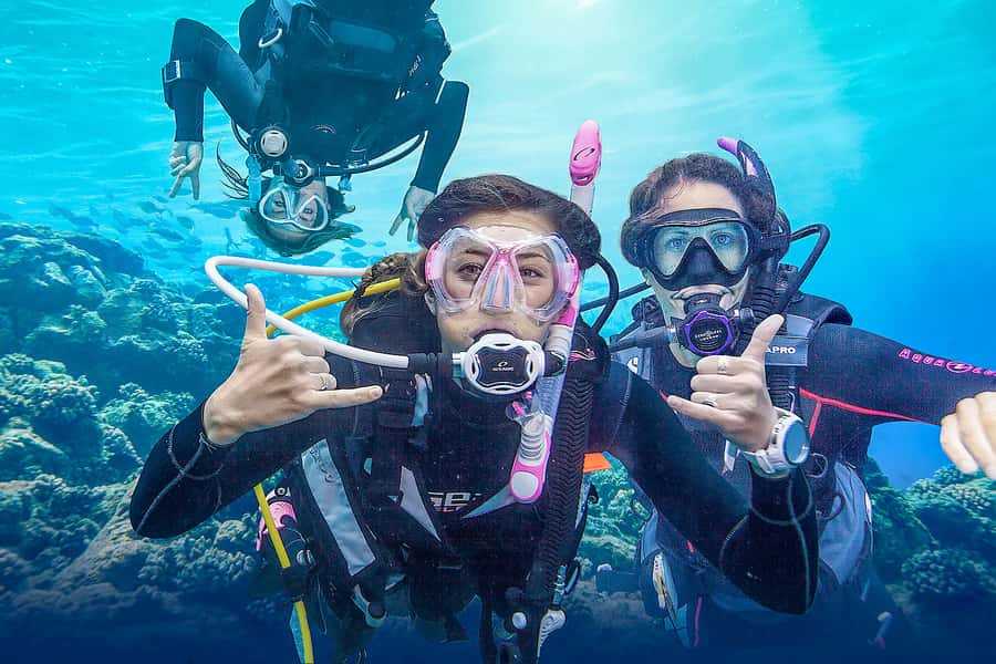 Dubai: PADI Basic Scuba Diving Course - Day two: two open-water sessions