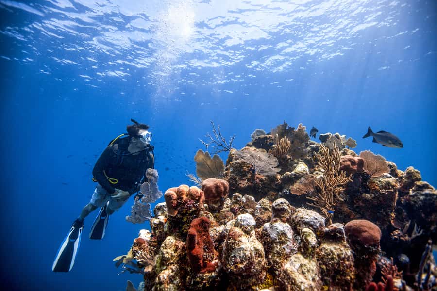 Dubai: PADI Open Water 18-Meter Diving Certification - Who will feel comfortable here