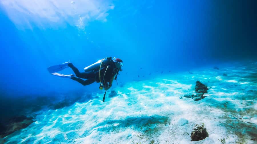Dubai: Speedboat Scuba Diving on UAE’s Largest Diving Boat - What the $149 Price Covers