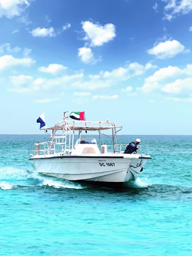 Dubai to Fujairah: First Scuba Diving + Transfer & BBQ - Why this first scuba experience works for beginners