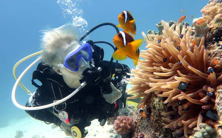 Dubai to Fujairah: First Scuba Diving + Transfer & BBQ - From Dubai to the east coast