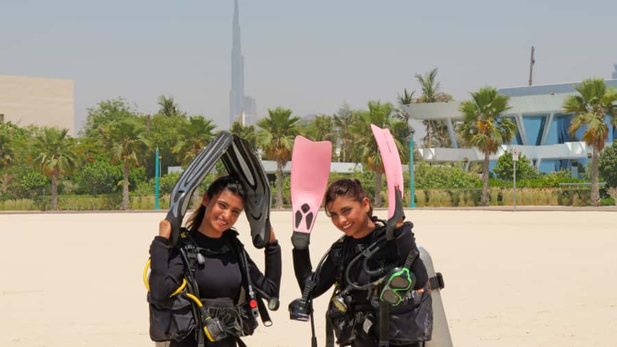 Dubai: VIP Private Scuba Dive with Free Hotel Transfer - What you see at Jumeirah Beach