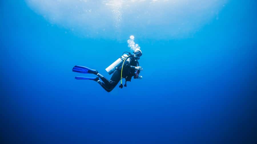 Dubai: VIP Private Scuba Dive with Free Hotel Transfer - Starting at Bermuda Diving Center