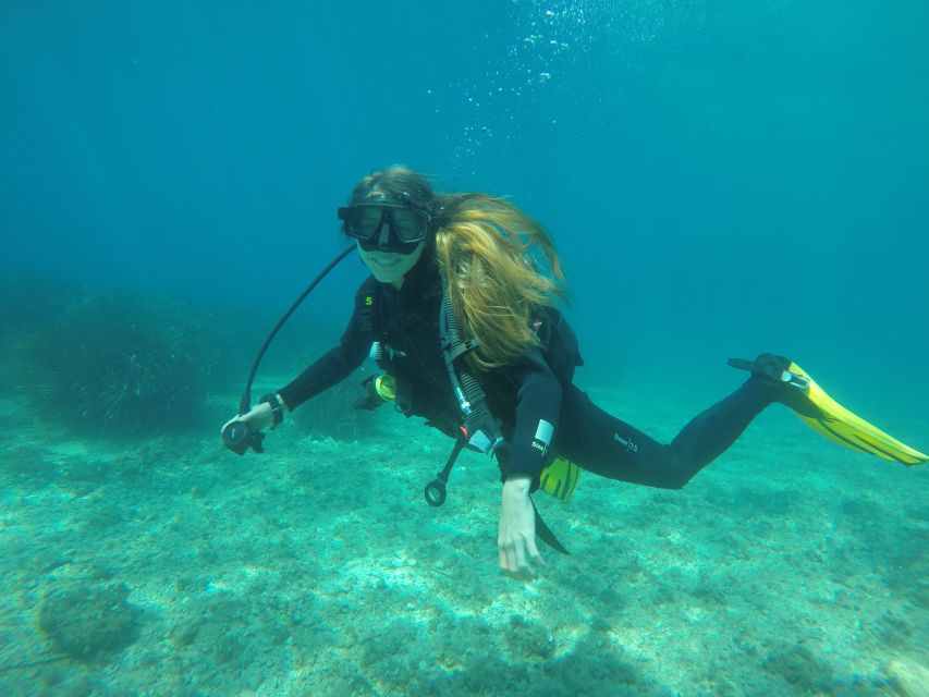 Dubrovnik: 1-Day Discover Scuba Diving Course - Starting at Dubrovnik Palace hotel