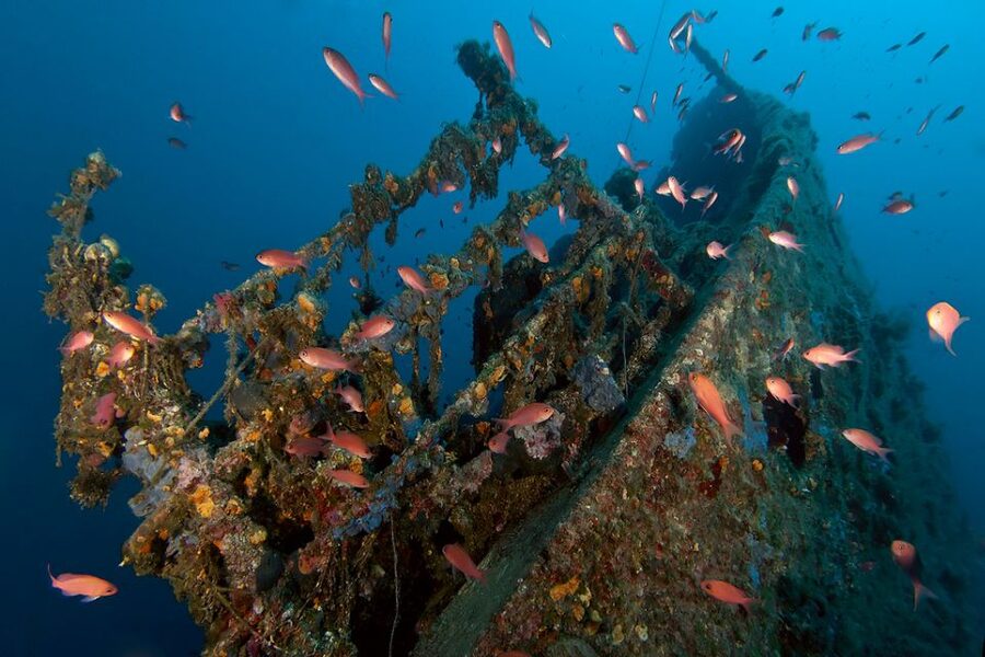 Dubrovnik: 1-Day Diving Package - Little Africa, Maros Cave, and Pipa Rock
