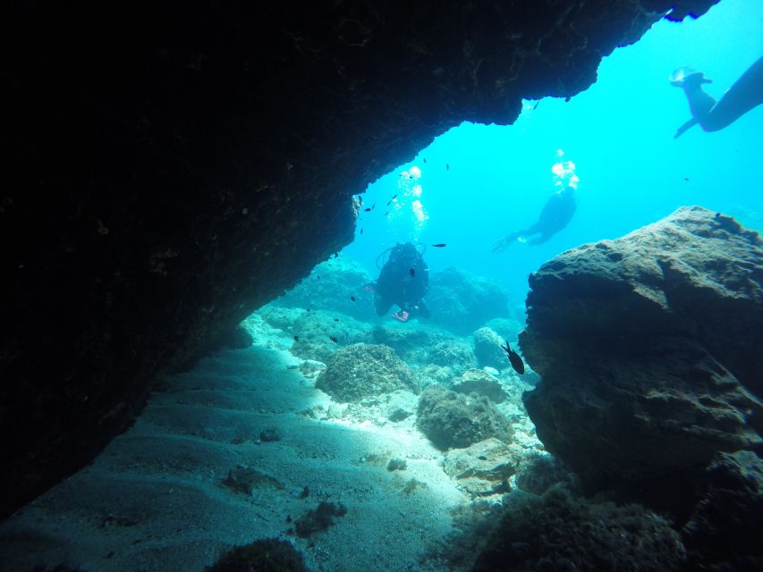 Dubrovnik: 1-Day Diving Package - What you can expect to see below the surface