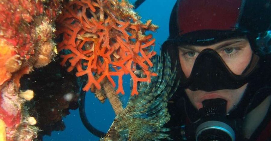 Dubrovnik: 1-Day Diving Package - Your morning at Blue Planet Diving Center