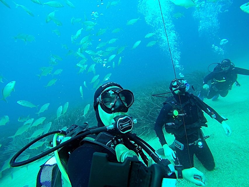 Dubrovnik 2-Hour Uncertified Divers Introductory Dive - Entering the Adriatic with an instructor beside you