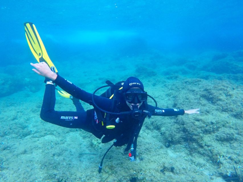 Dubrovnik 2-Hour Uncertified Divers Introductory Dive - Starting at the Blue Planet office in Dubrovnik Palace hotel