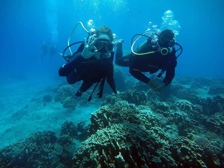 Easter Island: Tropical Diving - A 30-minute briefing that helps beginners relax