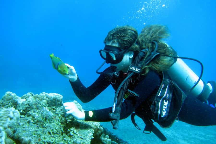 Easter Island: Tropical Diving - One hour among fish, coral, and turtles