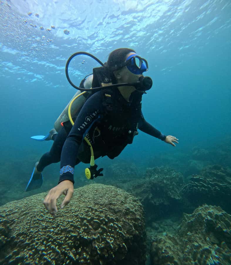 Easter Island: Tropical Diving - Who should book this underwater session?