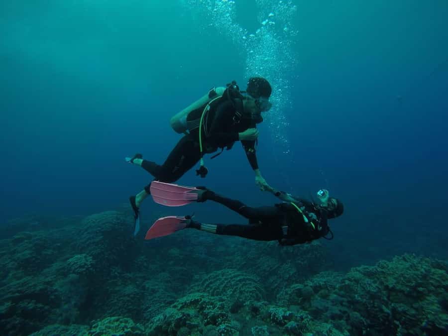 Easter Island: Tropical Diving - The transfer to the water site depends on the sea