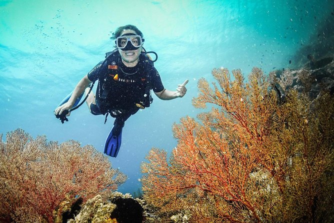 Easy Fun Scuba Dive in El Nido - A practical 7:30 am start in El Nido