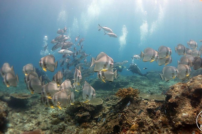 Easy Fun Scuba Dive in El Nido - Lunch aboard the boat, with practical extras included