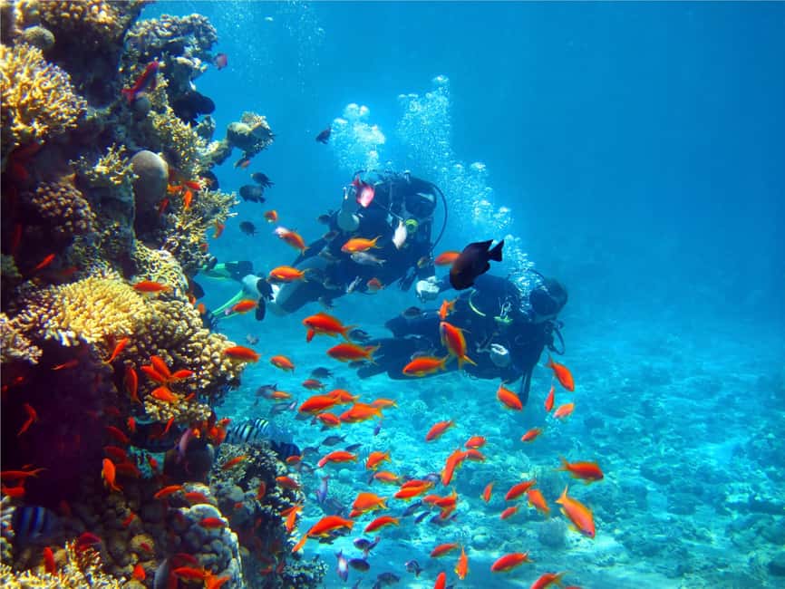 Eilat: Intro to Diving with Certified Instructor - What the experience does particularly well
