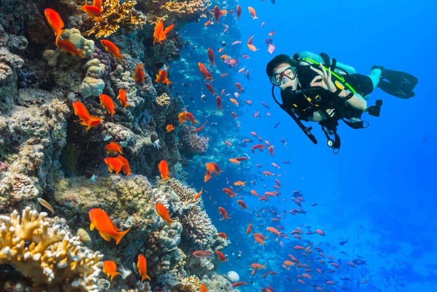 Eilat: Intro to Diving with Certified Instructor - What this experience does not promise