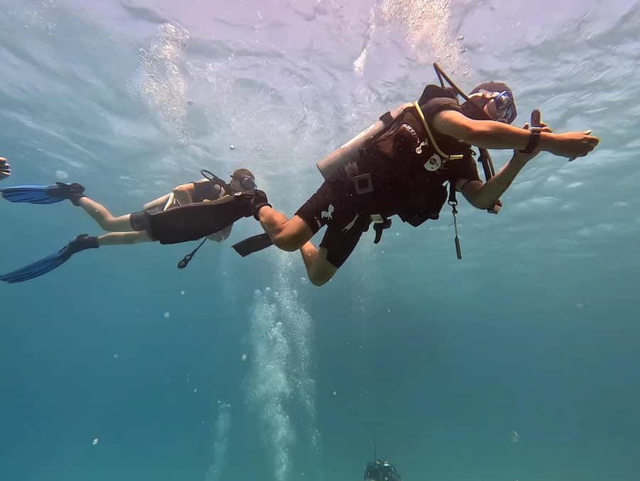 El Quseir: Red Sea Diving - Reefs, Caves & Marine Wildlife - How the reef works for beginners and experienced participants