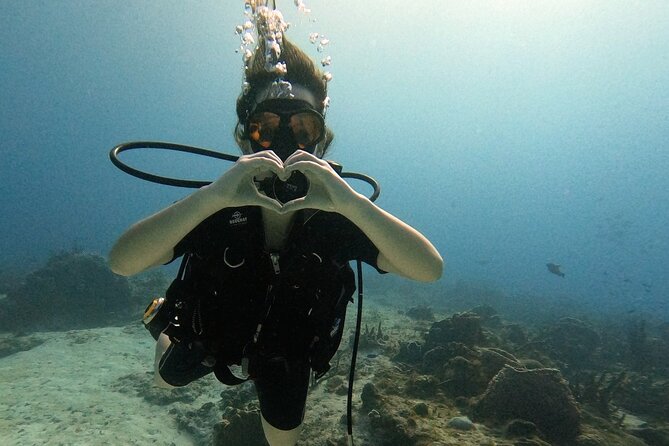 Enjoy two dives without previous experience with a boat trip - Why this Cozumel morning works for first-time scuba