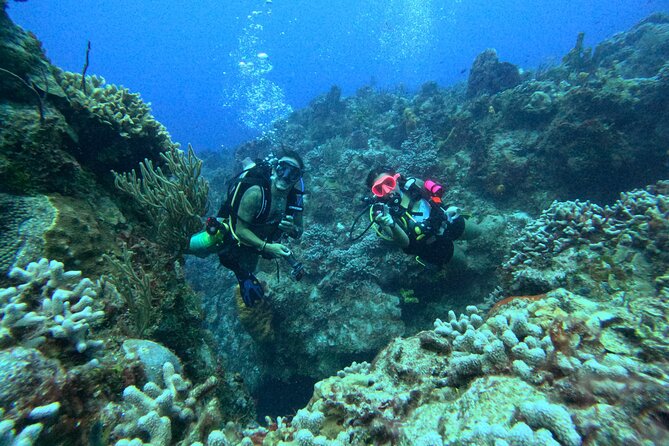 Enjoy two dives without previous experience with a boat trip - First reef session inside Cozumel National Park