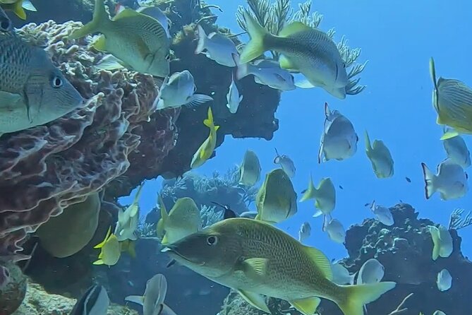 Enjoy two dives without previous experience with a boat trip - Weather, currents, and the limits of the plan