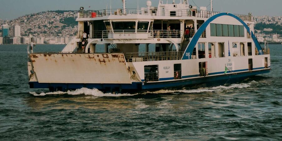 Exhilarating Shark Cage Diving Experience in Cape Town - What the $495 price really buys