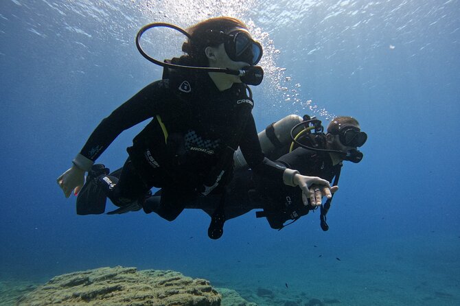 Experience Scuba Diving in Heraklion Crete - Key points before you book