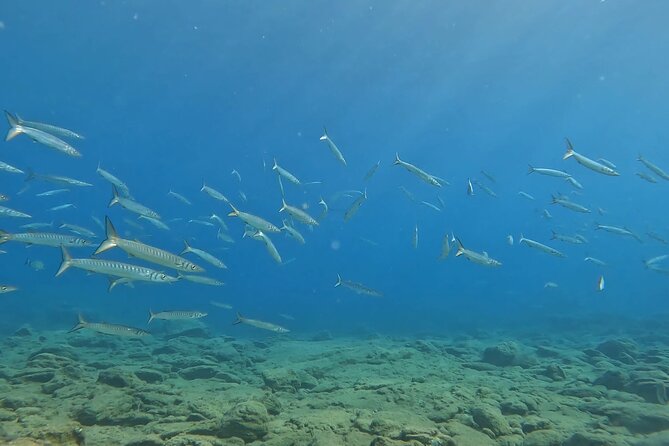 Experience Scuba Diving in Heraklion Crete - Equipment, comfort, and the practical details
