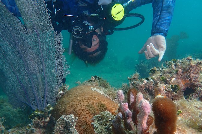 Experience Scuba Diving / NO certification Needed - Ocean conditions and backup locations