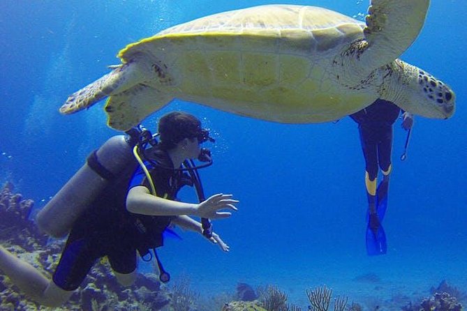Experience Scuba Diving - No Certification Needed! - The briefing turns unfamiliar gear into manageable equipment