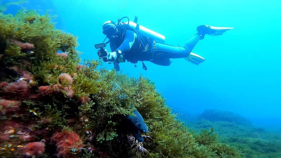 Experience the thrill of diving in Morocco Fun Dives - A small group and a serious safety briefing