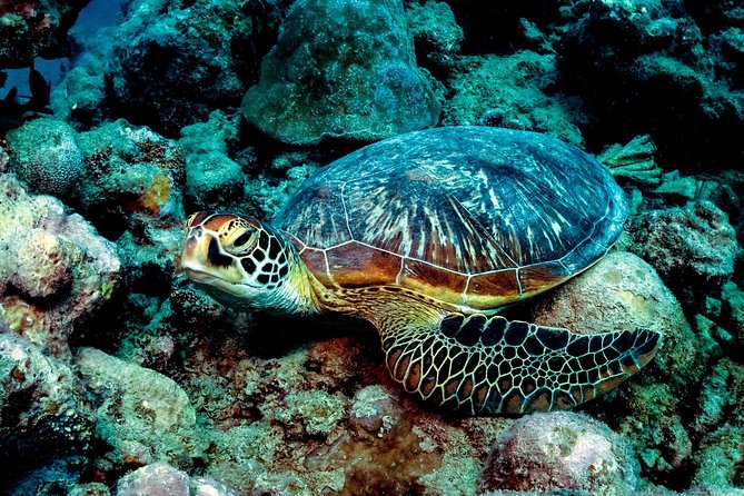 Exploration dives for experienced divers - The 8am start and medical check