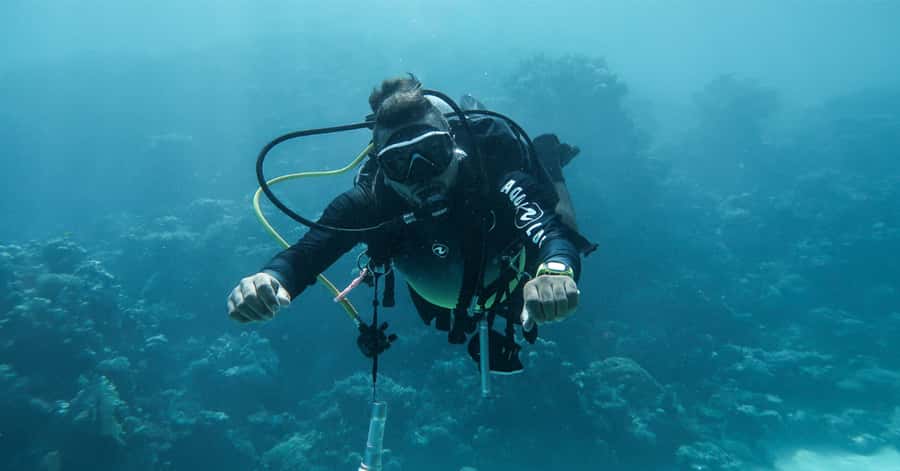Explore Aqaba's Depths: Scuba Diving Tour, with Hotel Pickup - Key points to know before booking