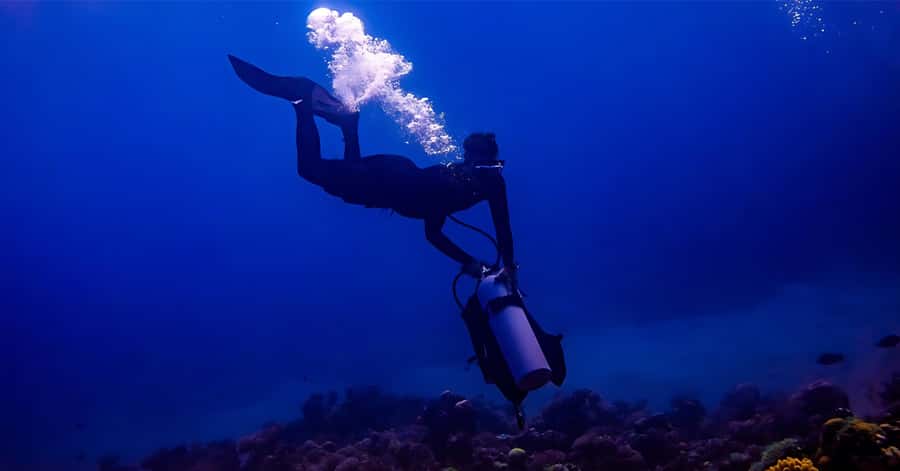 Explore Aqaba's Depths: Scuba Diving Tour, with Hotel Pickup - What your $66 buys in Aqaba