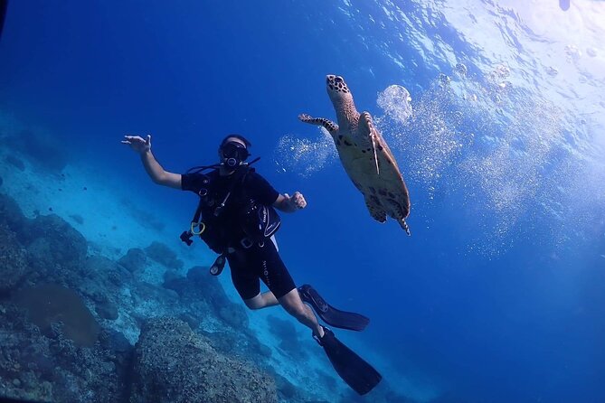 Explore Scuba diving at Racha Yai Island from Phuket - Why Racha Yai works for a first scuba experience