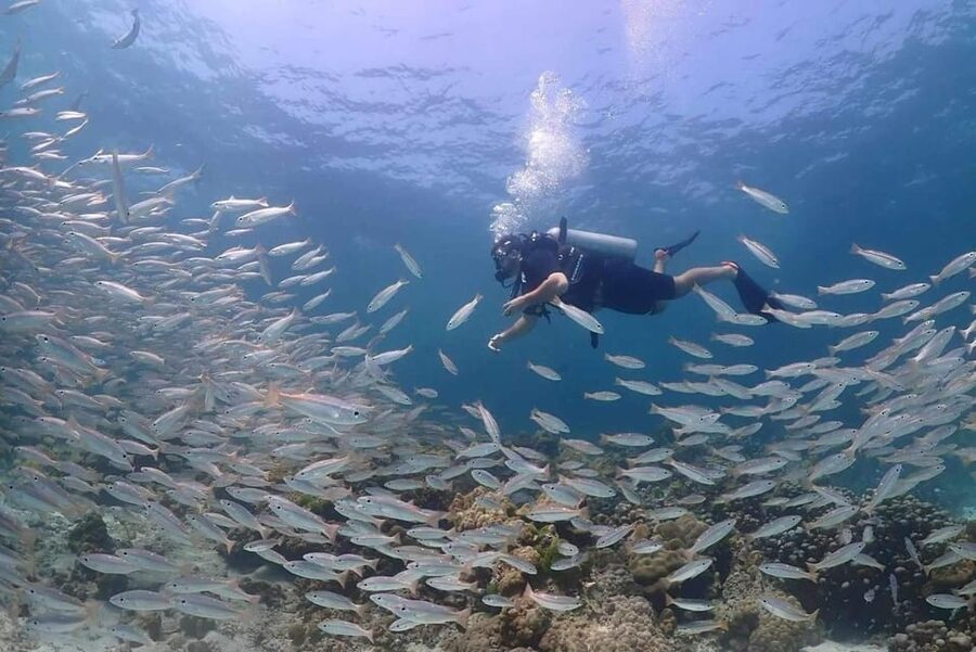 Explore Scuba diving at Racha Yai Island from Phuket - Should you book this Racha Yai experience?