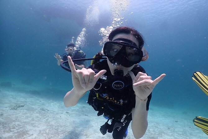 Explore Scuba diving at Racha Yai Island from Phuket - What the $141 price really covers