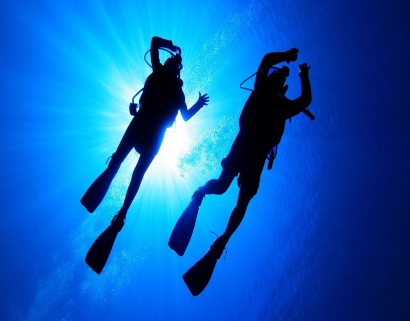 Fethiye: 2 Guided Scuba Dives with Lunch and Hotel Transfers - What your $70 buys in Fethiye