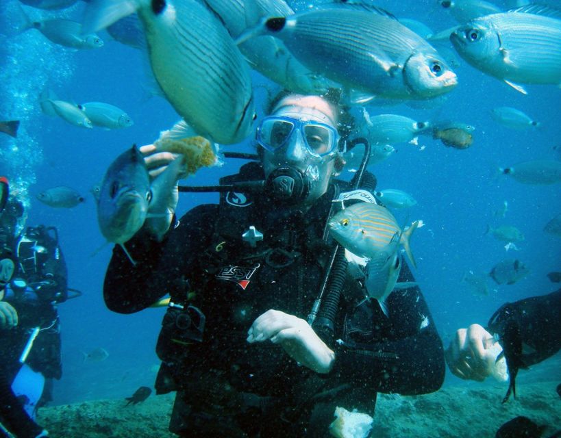 Fethiye: 2 Guided Scuba Dives with Lunch and Hotel Transfers - First session: fish, reefs, and a close escort
