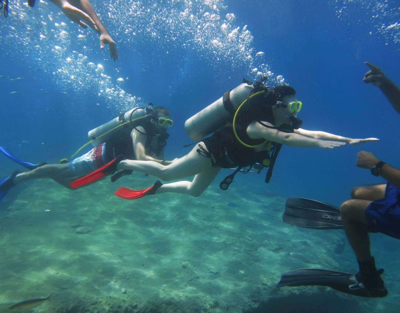 Fethiye: 2 Guided Scuba Dives with Lunch and Hotel Transfers - Why the day can feel longer than the underwater time
