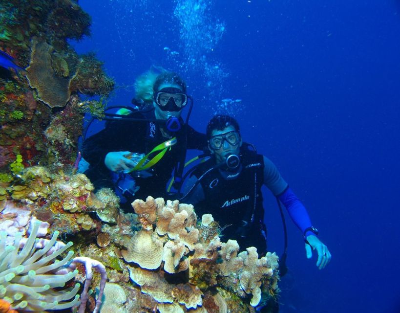 Fethiye: 2 Guided Scuba Dives with Lunch and Hotel Transfers - Photos, videos, and extra costs