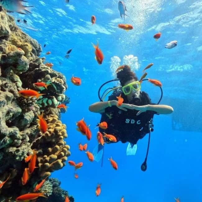 Fethiye: Fly and Dive, Paragliding and Scuba Diving Combined, Transfer Included - Key points to know before booking