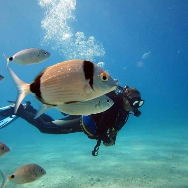 Fethiye: Fly and Dive, Paragliding and Scuba Diving Combined, Transfer Included - From Fethiye pickup to Babadağ’s launch runways