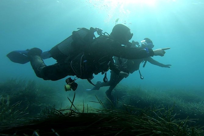 First scuba diving experience with instructor - Malta - Learning the equipment without feeling overwhelmed