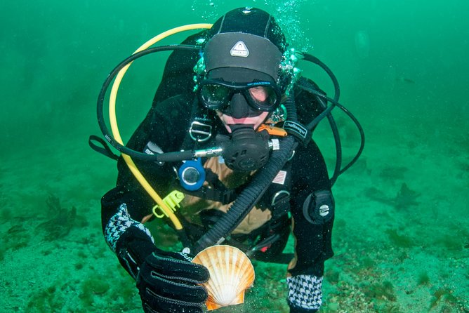 First Time Diver Scuba Experience - Key points to know before booking